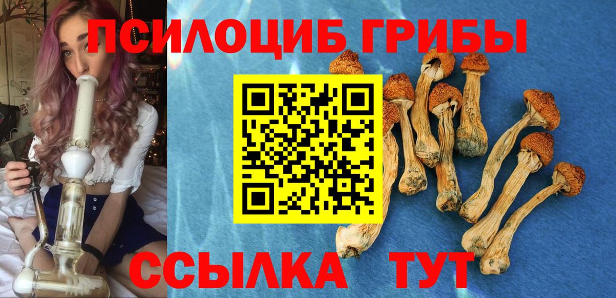 Кудрово  Псилоцибиновые грибы ЛСД  наркошоп  Вход с VPN 